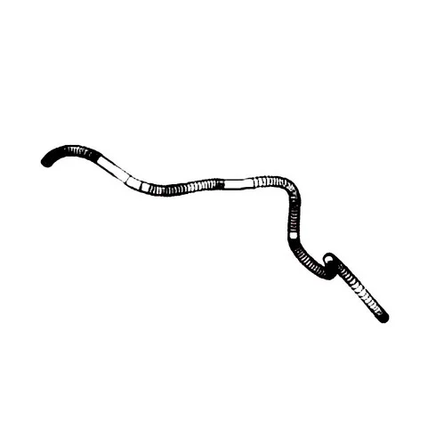 lawnmowers-4202607031943161603865